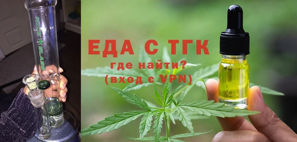 индика Арсеньев