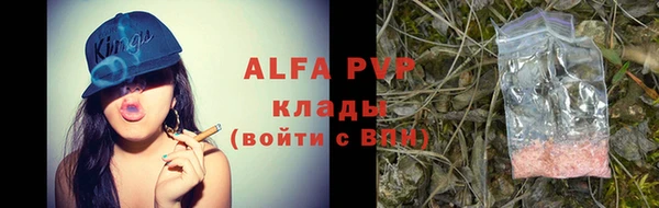индика Арсеньев