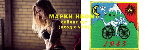 индика Арсеньев