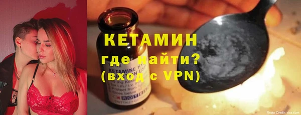 индика Арсеньев
