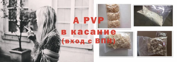 индика Арсеньев