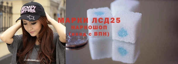 индика Арсеньев