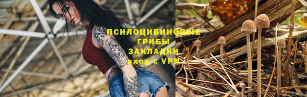 индика Арсеньев