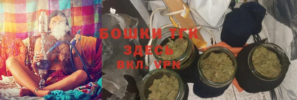 индика Арсеньев