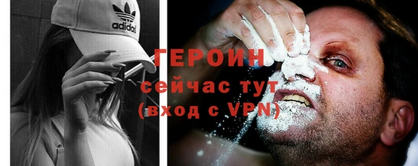 индика Арсеньев