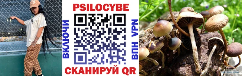 Псилоцибиновые грибы Magic Shrooms сколько стоит Рассказово